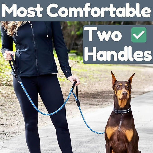 Premium 6 Ft Dog Leash - Two Extra Padded Handles, Heavy Duty Leashes for Medium Dogs to Large Breeds, Reflective, Shock-Absorbing, Anti-Pull Rope Leash, Strong Pet Lead for Everyday Walks - Roam Gear