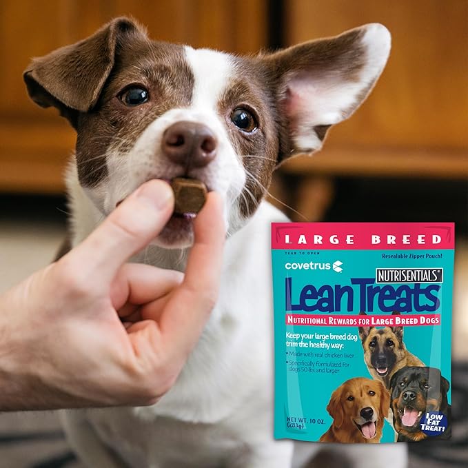 Covetrus Nutrisential Lean Treats for Large Dogs - Chicken Flavor - 10oz - 16 Pack