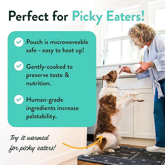 Portland Pet Food Company Fresh Dog Food Pouches - Human-Grade Toppers Wet Pet Meal & Mixers - Small & Large Breed Puppy & Senior Dogs - Gluten-Free, Limited Ingredient Rosie’s Beef N' Rice - 5 Pack