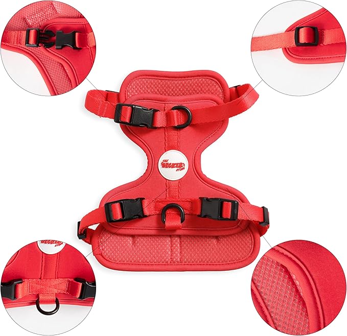 HNS1001M Arlo Small Adjustable Soft Padded No Pull Pet Harness with 3 Buckles and 3 Leash Clips, Shirley