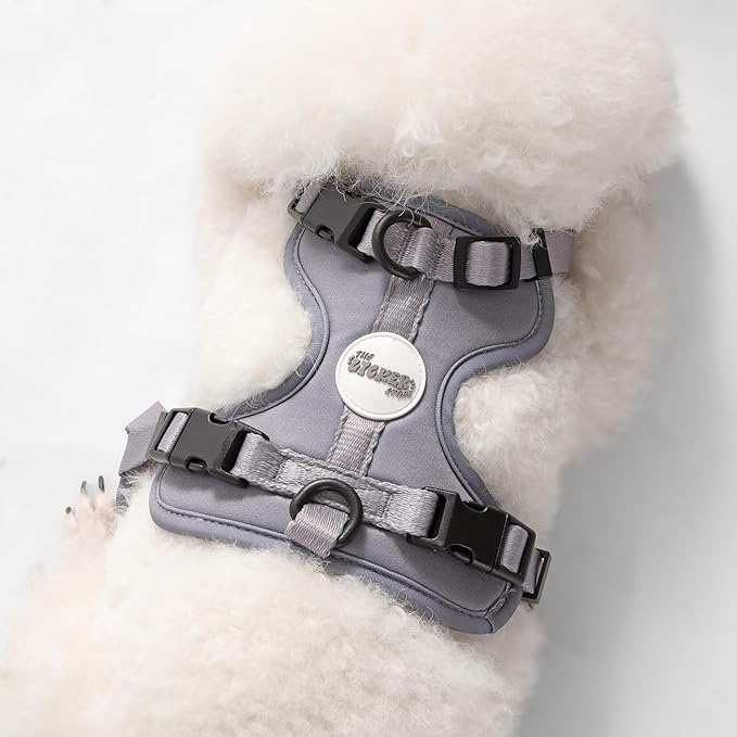 HNS1001N Arlo Small Adjustable Soft Padded No Pull Pet Harness with 3 Buckles and 3 Leash Clips, Martini