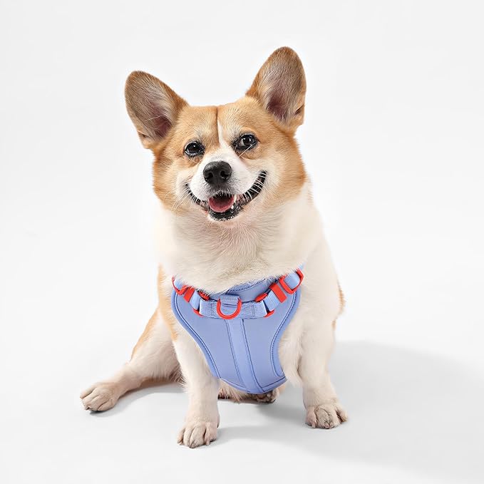 HNS1002E Arlo Medium Adjustable Soft Padded No Pull Pet Harness with 3 Buckles and 3 Leash Clips, Sangria