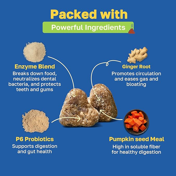 Happy Paws Digestive Supplement for Dogs, Supports Gut Health for Dogs of All Breeds & Ages, Made with Probiotics, Enzyme Blend & Ginger Root, Pumpkin Flavor, Organic, Non GMO, 100 Soft Chews