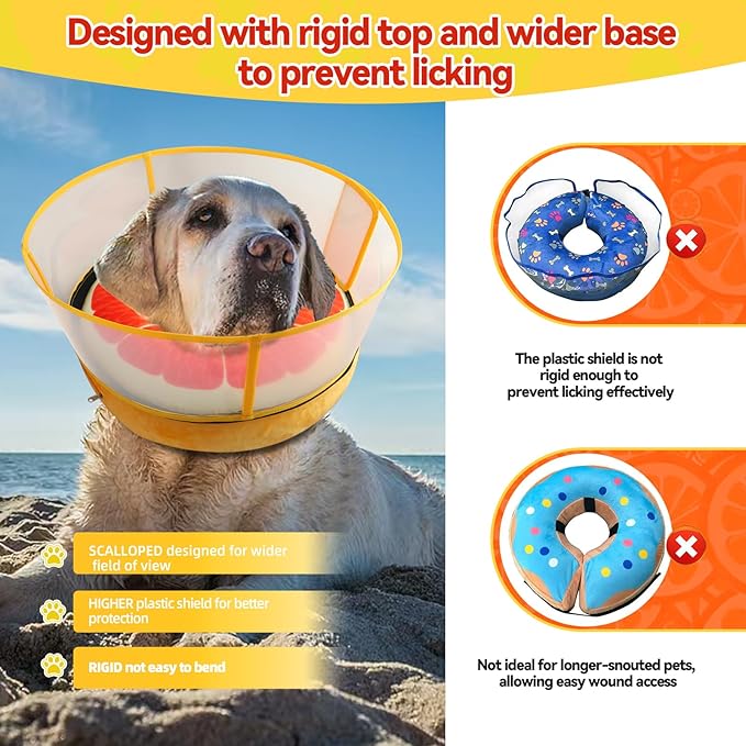 Upgraded Inflatable Dog Cone Collar with Transparent Anti-Licking Shield, Adjustable Elizabethan Collar for Medium Large Dogs, 2-in-1 Design with Detachable Shield and Soft Padding (M, Grapefruit)