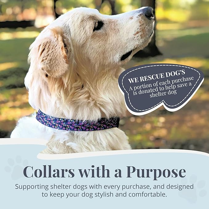 Lucky Love Dog, Comfortable, Soft, Cute Female Dog Collar for Tiny Dogs, Black & Purple Floral Print, Adjustable Nylon Collar, Primrose, XS