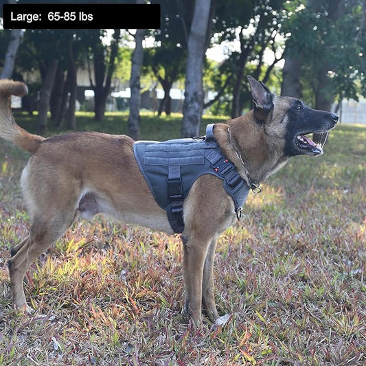 ICEFANG Tactical Dog Harness, Large Size,2X Metal Buckle,Working Dog MOLLE Vest with Handle,No Pulling Front Leash Clip,Hook and Loop Panel (Grey,L (Pack of 1))