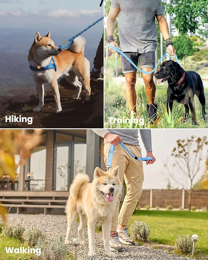 OutdoorMaster Bungee Dog Leash, Heavy Duty Dog Leash with Shock Absorption, 2 Padded Handles Training Leash, Improved Dog Safety and Comfort (Blue, 6 FT)
