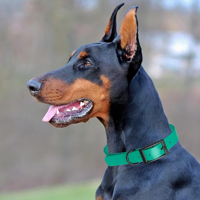 Dogline Biothane Coated Webbing Dog Collar with Black Metal Hardware: Durable Easy-Clean Everyday Collar for Dogs - Comfortable Adjustable Odor-Resistant Pet Collar, W1/2" x L9-12, Teal