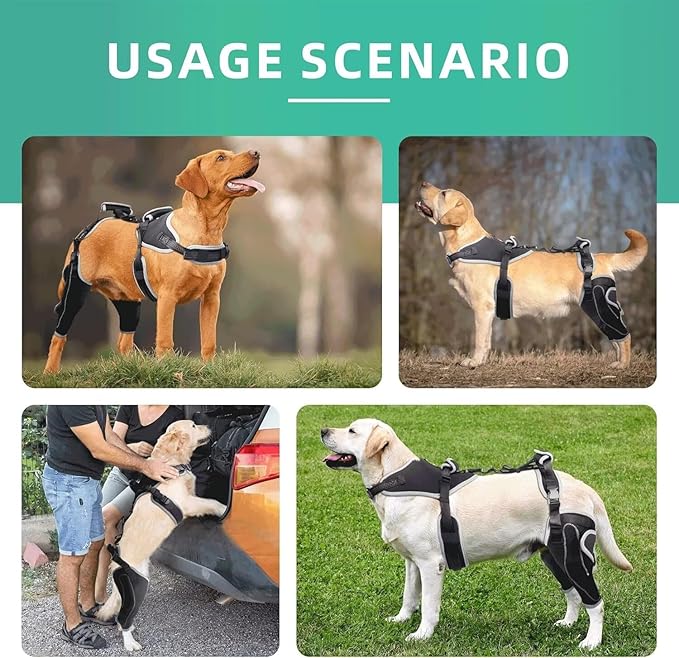 Dog Knee Brace for ACL/CCL Injuries,Torn Ligament,Luxating Patella - Rear Leg Support,Pain Relief,Joint Warmth,Black,Upgraded,Both Legs,Customized