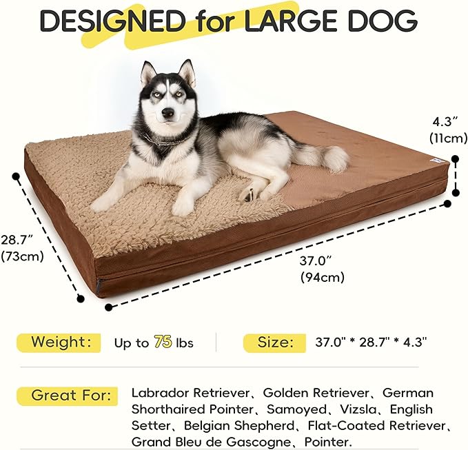 Sytopia Washable Indestructible 37" Dog Bed for Large Dogs – Double-Sided Plush, Waterproof, Removable Cover, Thick Orthopedic Support, Durable Multi- Size Comfort Clearance Indoor Flat Dog Bed