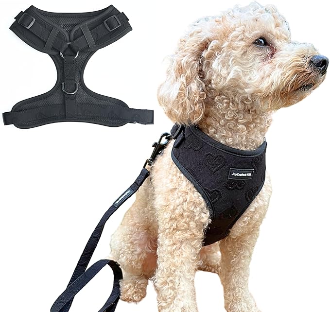 No Pull Neoprene Dog Harness and Leash Set for Small Dog, Neck(14–17 in), Adjustable Soft Mesh Design, Black S -Lightweight No Choke Fit, Step-in, Escape-Proof Comfort