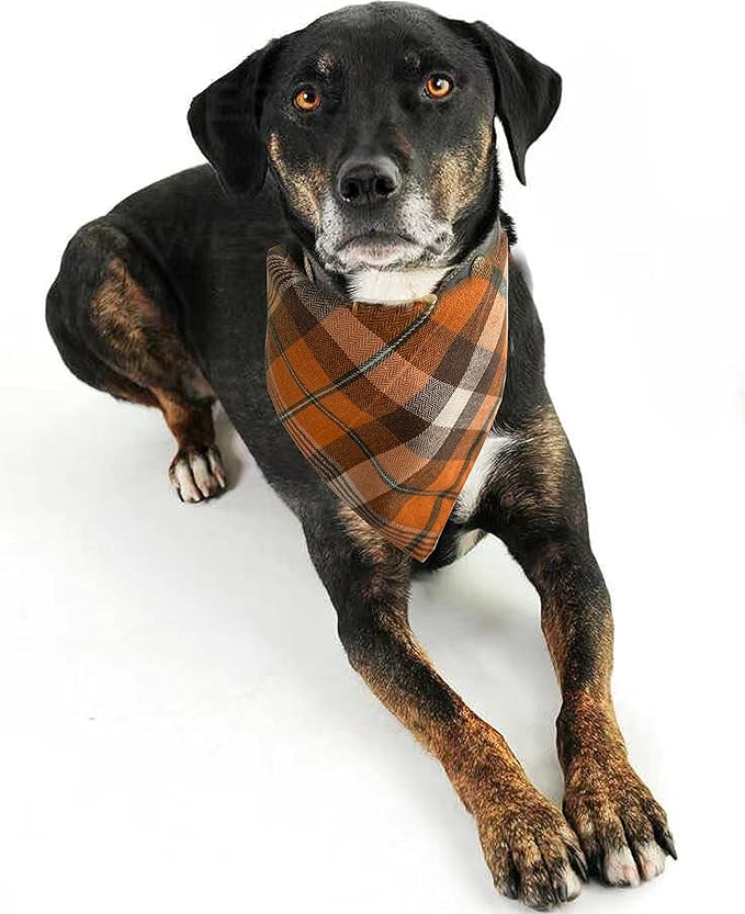Realeaf Fall Thanksgiving Dog Bandanas 2 Pack, Orange Plaid Pet Scarf for Boy and Girl, Premium Durable Fabric, Holiday Halloween Bandana for Large and Extra Large Dogs (X-Large)