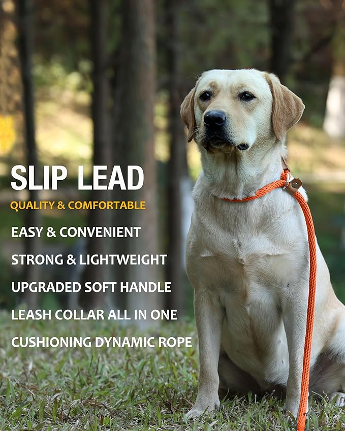 lynxking Dog Leash Slip Lead 5 6 8 FT Dog Training Leash Strong Heavy Duty Braided No Pull Training Lead for Small Medium Large Dogs