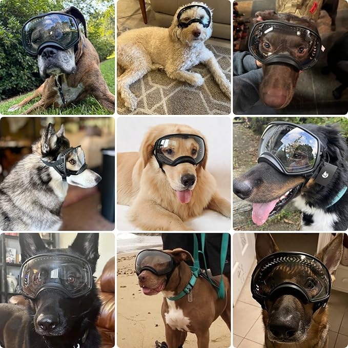 PETLESO Clear Dog Goggles for Large Dogs, Anti-UV Pet Sunglasses for Medium to Large Breed, Dog Eye Protection for Driving Riding Hiking, Wide View &Soft Frame, Adjustable, Clear Lens