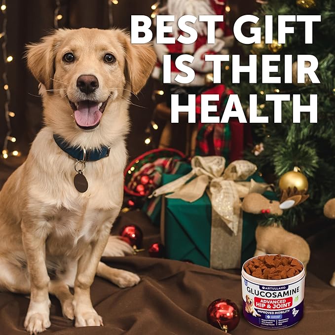 Glucosamine for Dogs - Hip and Joint Supplement for Dogs with Arthritis - Chews with Chondroitin, Hemp Oil, MSM - Canine Joint Pain Relief Health - Mobility Support for Large Breeds - 120 Soft Treats