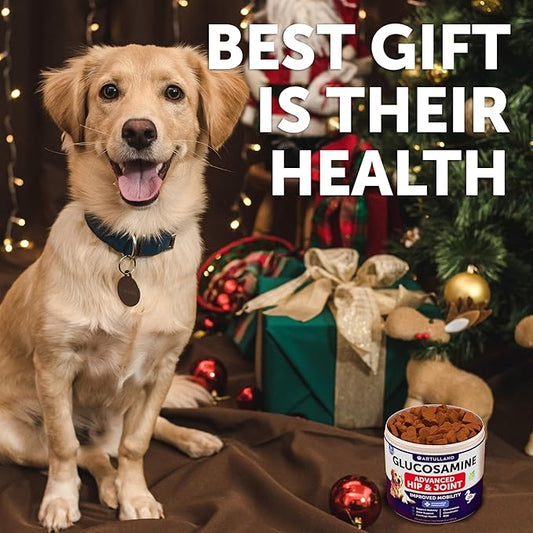 Glucosamine for Dogs - Hip and Joint Supplement for Dogs with Arthritis - Chews with Chondroitin, Hemp Oil, MSM - Canine Joint Pain Relief Health - Mobility Support for Large Breeds - 120 Soft Treats