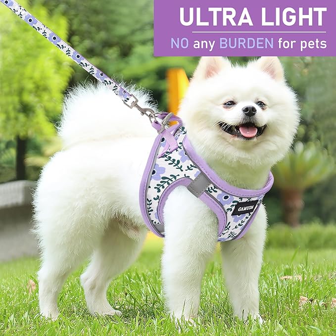 GAMUDA Small Dog Harness Collar and Leash Set, Step in No Chock No Pull Soft Mesh Adjustable Dog Vest Harnesses Plaid Reflective for Dogs Puppy Cats Kitten Rabbit (Purple Flower, XS)