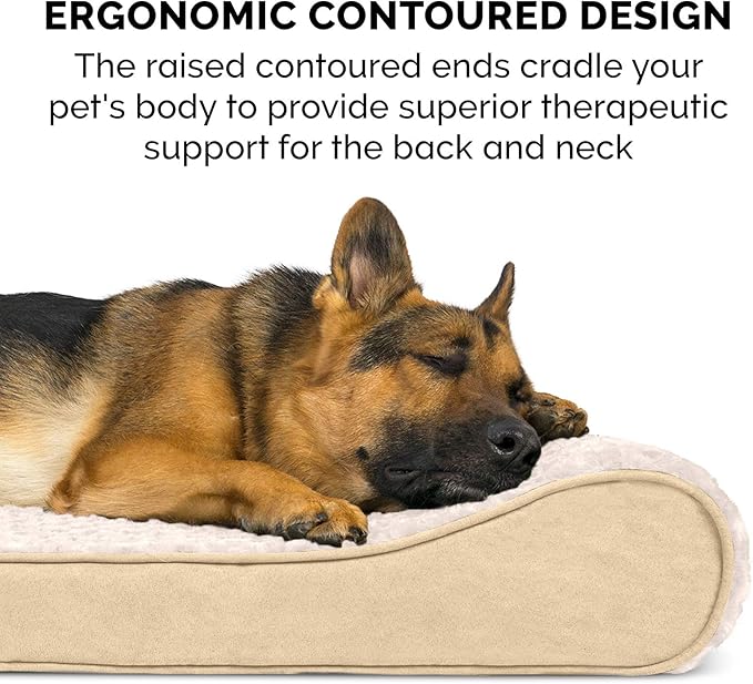FurHaven Orthopedic Dog Bed for X-Large Dogs, Luxe Lounger Contour Mattress with Medical-Grade Solid Orthopedic Foam for Joint Support, Removable Washable Cover, Jumbo/XL, Plush Suede, Cream