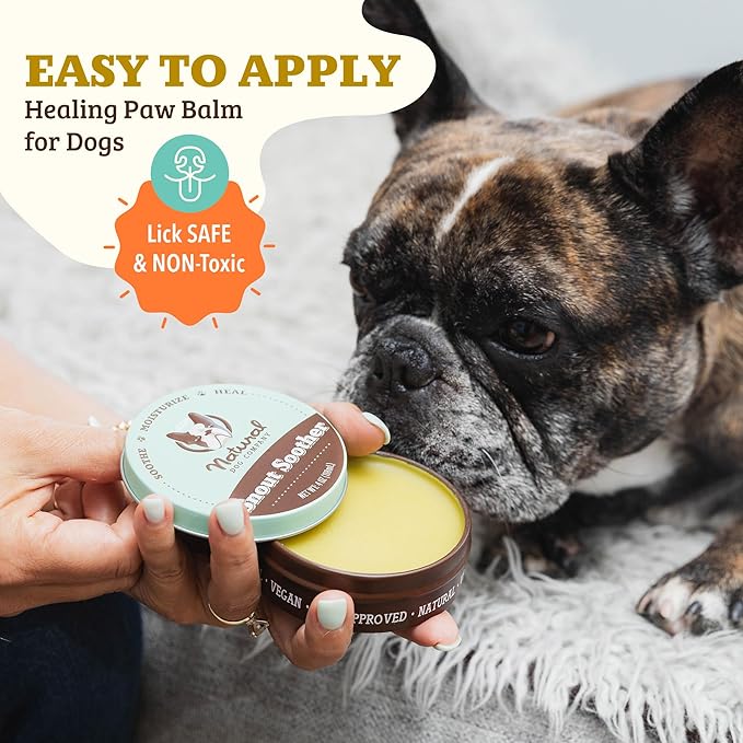 Natural Dog Company Snout Soother Balm Tin 4 oz – All Natural Dog Nose Balm for Dry, Cracked Snouts – Organic Moisturizing & Soothing Balm – Lick-Safe Protective Snout Care, Made in USA
