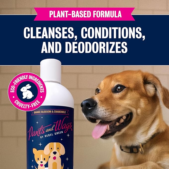 Pants & Wags by Rebel Green Squeaky Clean Pet Shampoo Concentrate - Orange Blossom & Chamomile - Hypoallergenic - No Dyes or Perfumes - 16 oz - 2 Pack