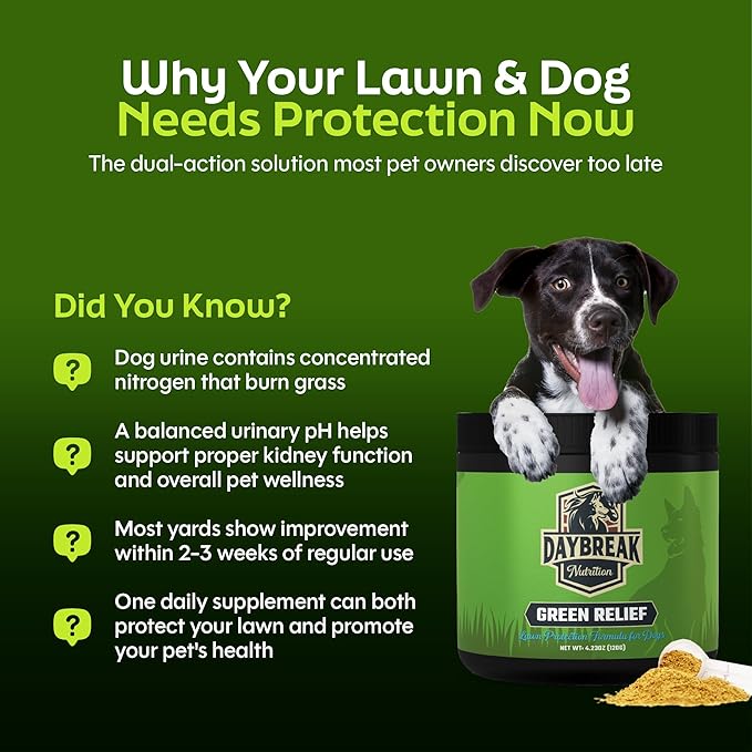 Green Relief Dog Urine Neutralizer for Lawn - Natural Grass Saver Powder Supplement with L-Methionine, Cranberry & Probiotics - Prevents Yellow Patches from Dog Pee - Made in USA