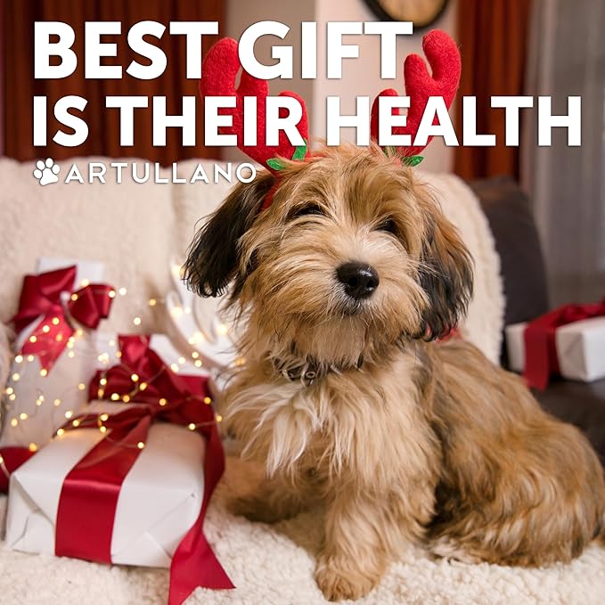 Probiotic Powder for Dogs - Support Gut Health, Itchy Skin, Allergies, Immunity, Yeast Balance - Dog Probiotics and Digestive Enzymes with Prebiotics - Reduce Diarrhea, Gas - 30 Probiotic Sticks