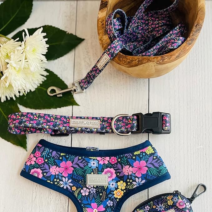 Lucky Love Dog - Easy Click Buckle Dog Collar with Leash Set Combo, Durable & Comfortable for Male & Female Dogs, Pet Collar for Small to Large Dogs, Secure Fit - Primrose Combo, Medium