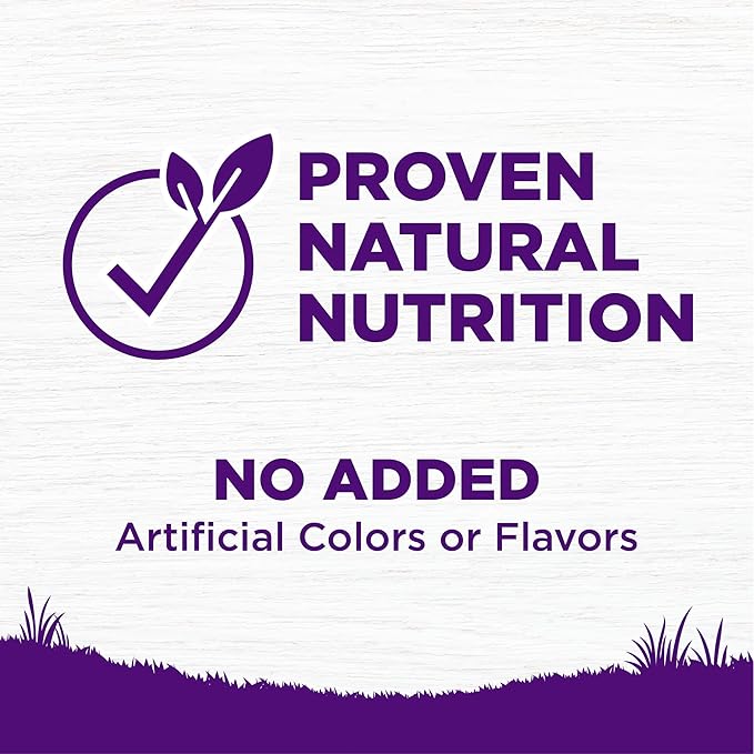 Wellness Complete Health Dry Dog Food, Grain Free, Natural, Lamb Recipe, (22-Pound Bag)