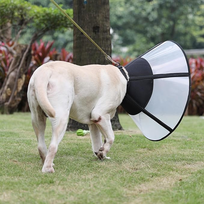 DogLemi Pet Cone Collar, Soft Dog Cone Alternative After Surgery, Adjustable Elizabeth Collar, Comfortable Pet Head Cone to Stop Licking, Suitable for Medium to Large Dogs (L)