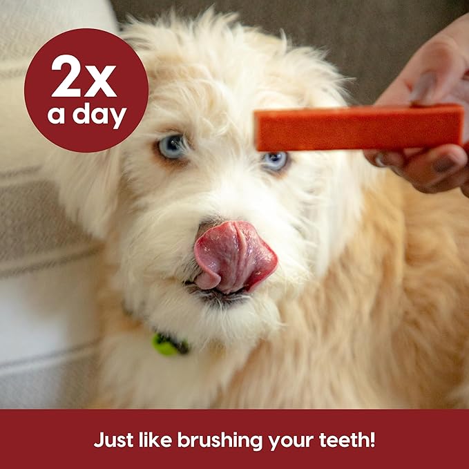 Ark Naturals Protection+ Brushless Toothpaste, Dog Dental Chews for Medium Breeds, Prevents Plaque & Tartar, Freshens Breath, 54oz, 1 Pack, Red