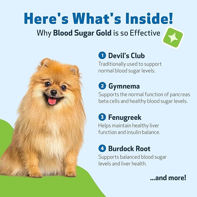 Pet Wellbeing Blood Sugar Gold Dogs - Holistic Blood Sugar Support, Pancreas & Liver Health, Gymnema, Fenugreek & Devil’s Club - NASC Certified & Vet-Formulated - 2 oz Liquid