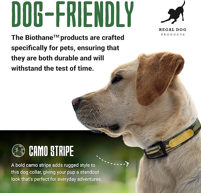 Regal Dog Products Green Camo Hunting Dog Collar with Custom Engraved Name Plate and Heavy Duty Black Hardware Center Ring | Waterproof Personalized Dog Collars | Other Sizes for Small, Medium & Large