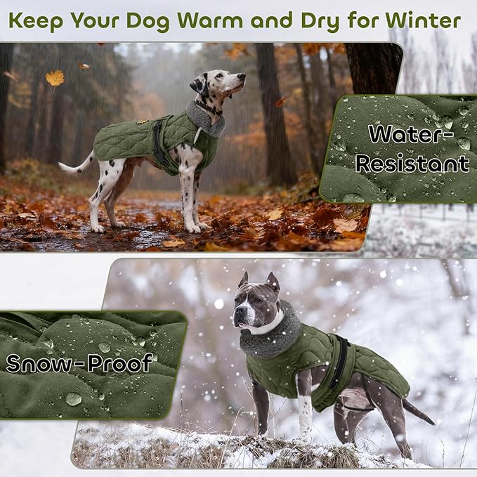 Dog Coats, Warm Puppy Apparel with Fleece Lining for Cold Weather, Windproof Medium Dog Winter Jacket, Reflective Dogs Snow Coat with Leash Hole and Adjustable Buckle, NewGreen M