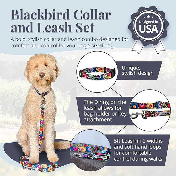 Lucky Love Dog - Easy Click Buckle Dog Collar with Leash Set Combo, Durable & Comfortable for Male & Female Dogs, Pet Collar for Small to Large Dogs, Secure Fit - Blackbird Combo, Large