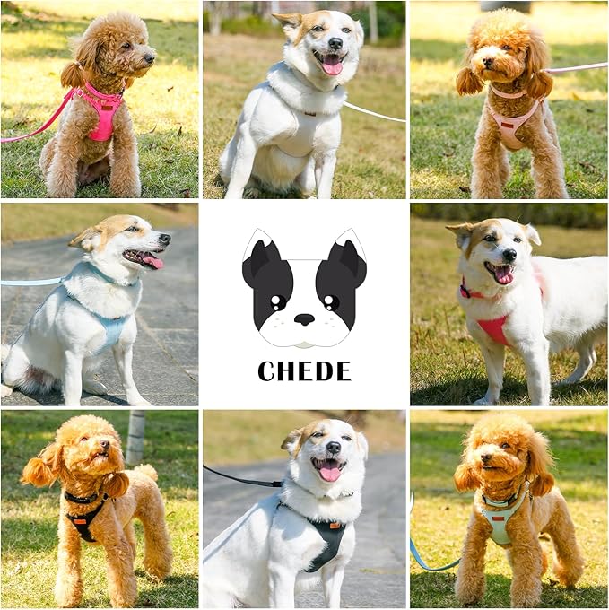 No Pull Dog Harness- Lightweight, Soft, Adjustable Small Harness Collar and Leash Set, Suitable for Cats Puppy Small and Medium-Sized Dog Outdoor Training and Running (Green, S)