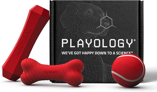 Playology Dog Toys | Variety Gift Box Set of Toys for Medium Dogs | Medium Beef Scented Dual Layer Bone, Squeaky Chew Ball, and Chew Stick - Easy to Clean and Made from Non Toxic Material