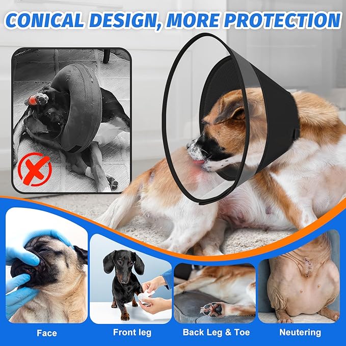 Dog Cone Collar with Soft Pad, Transparent Elizabeth Recovery Collar for Large, Medium, Small Dogs to Stop Licking, Pet Head Cone Alternative After Surgery, Neutering, Injury (M)