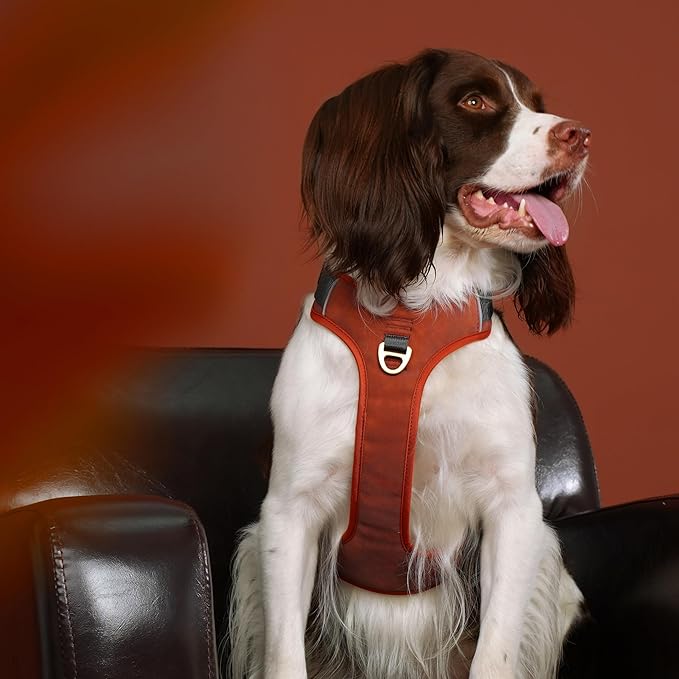 No Pull Dog Harness Small Sized Dog,Stylish PU Leather Vest with Easy Control Handle,No Choke Front Clip with 2 Metal Leash Clips,Reflective & Adjustable for Walking,Brown,Chest 19-24"