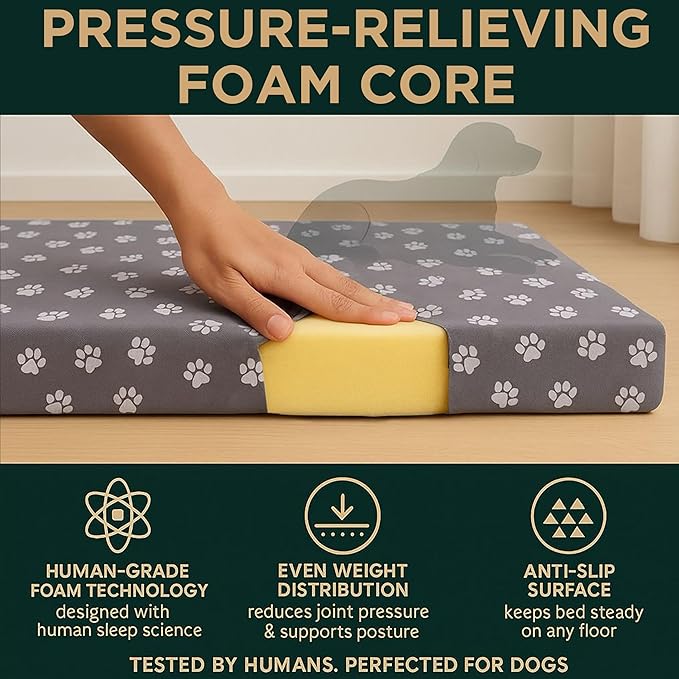 Human Dog Bed, 60x30 Inch, for Adults — Orthopedic Mattress, Protective Liner, 100% Cotton Fitted Sheet — Breathable, Hypoallergenic, Easy to Clean — Gray