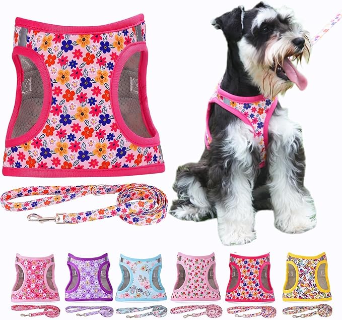 Moonpet Step in Dog Harness Leash Set- All Weather Reflective No-Pull Floral Pattern Padded Mesh Vest Harness for Cats Puppy Extra-Small Small Medium Large Dogs - Romantic Sakura - M