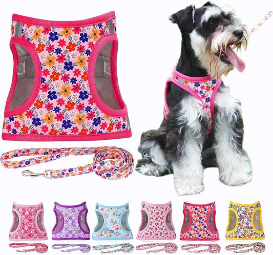 Moonpet Step in Dog Harness Leash Set- All Weather Reflective No-Pull Floral Pattern Padded Mesh Vest Harness for Cats Puppy Extra-Small Small Medium Large Dogs - Romantic Sakura - XXS