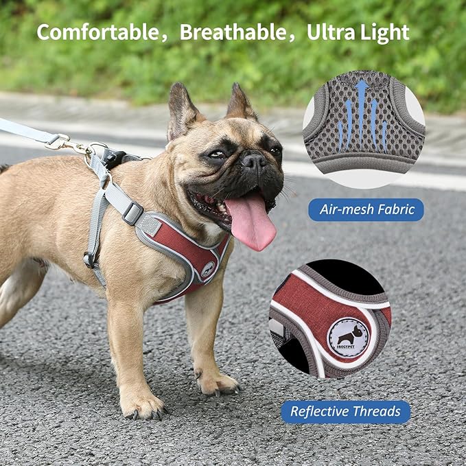 Dog Harness with Leash Set, Christmas Red Adjustable Step in Collars Harness with Breathable Padded Vest for Small Medium Large Dogs Training and Running(L, Red)