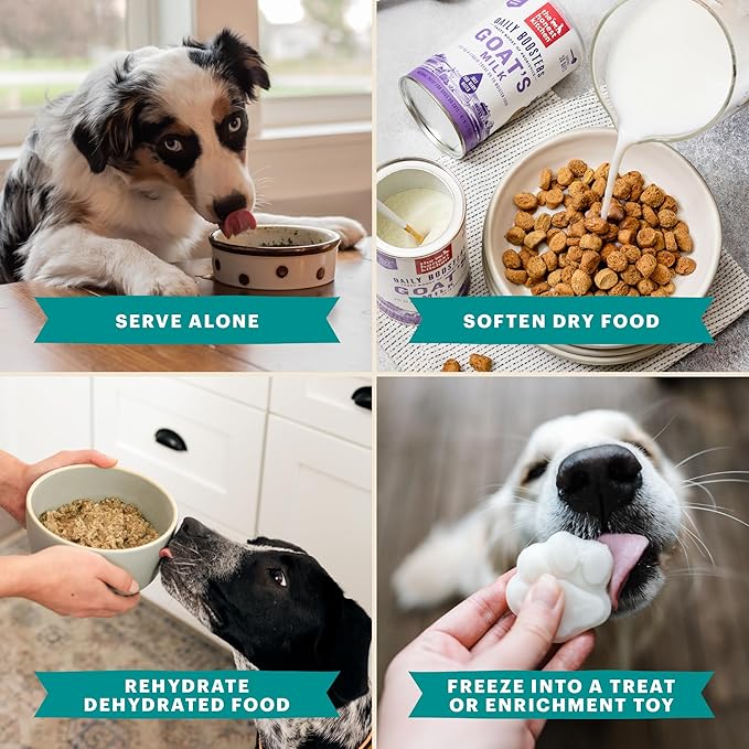 The Honest Kitchen Daily Boosters: Instant Turkey Bone Broth With Turmeric, 3.6 Oz