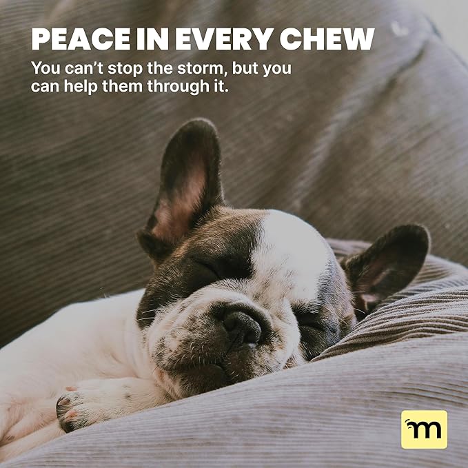 MalsiPree Calming Chews for Dogs - 145 pcs Salmon - Helps Regulate Mood - Anxiety Relief Treats - No Sedative Effect - Freeze Dried - with Passion Flower & Melatonin