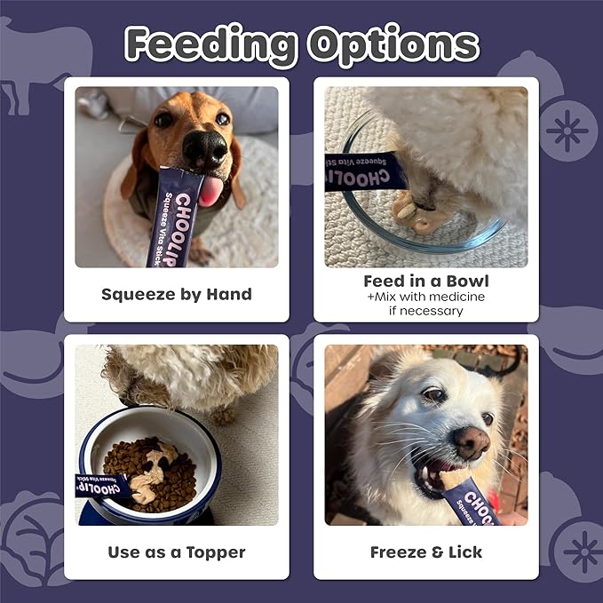 Choolip Squeeze Vita Stick Lickable Cat and Dog Treats – 49-Count Brain Support Sticks with Multivitamins, Soft Squeezable Paste for All Life Stages, Supporting Brain Health - Box with 7 Pouches