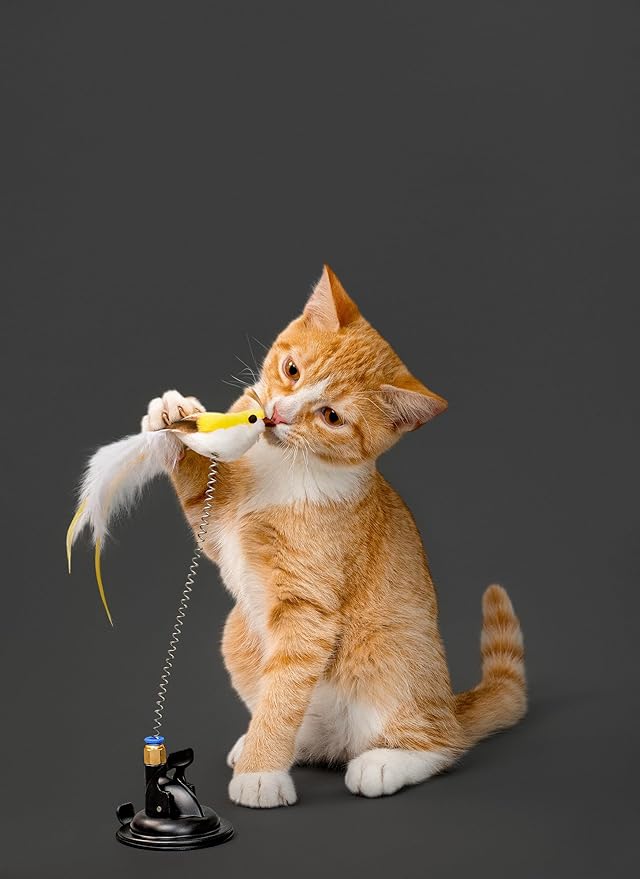 Playology Cat Toy Suction Cup Spring Bird | Interactive Toy with Lifelike Feather Bird | Secure Suction Cup with Unpredictable Movement | Perfect for Active Indoor Cats
