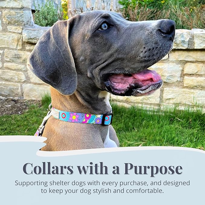 Lucky Love Dog - Adjustable Dog Collar with Easy Click Buckle for Small to Large Ones, Durable, & Comfortable for Male & Female Dogs, Pet Collar for Puppies & Adult Dogs - Caroline, XL