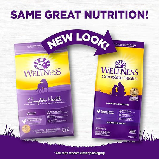 Wellness Complete Health Dry Dog Food with Grains, Made in USA with Real Meat & Natural Ingredients, All Breeds, Adult Dogs (Chicken & Oatmeal, 30-lb) – With Nutrients for Immune, Skin, & Coat Support