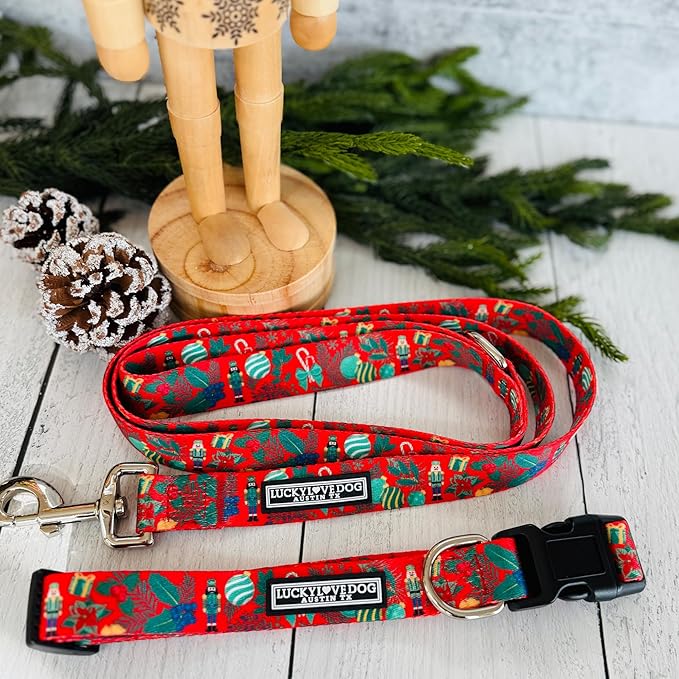 Lucky Love Dog - Easy Click Buckle Dog Collar with Leash Set Combo, Durable & Comfortable for Male & Female Dogs, Pet Collar for Small to Large Dogs, Secure Fit - Fritz Combo, Medium