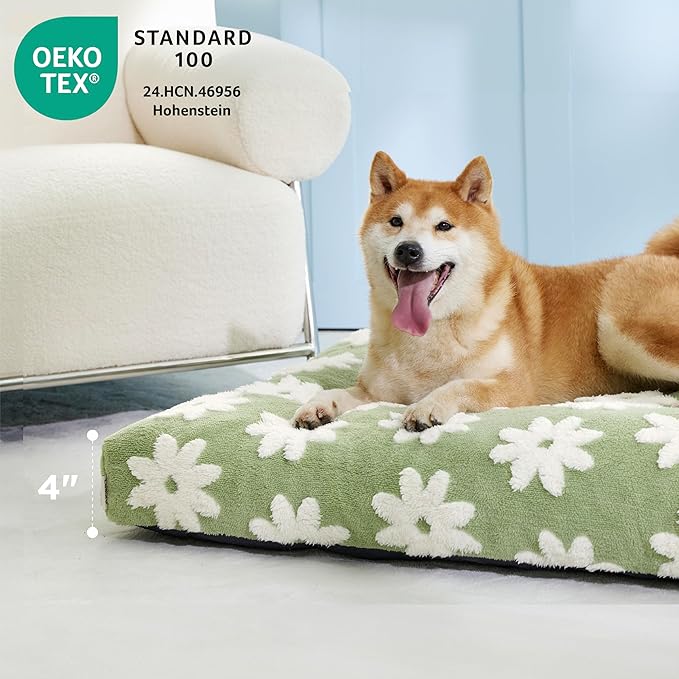 LE SURE Dog Beds Medium Size-Thick Shredded Chopped Foam Pet Bed Indoor with Removable Cover, Cute Modern Fuzzy Plush & Anti Slip Bottom, Green